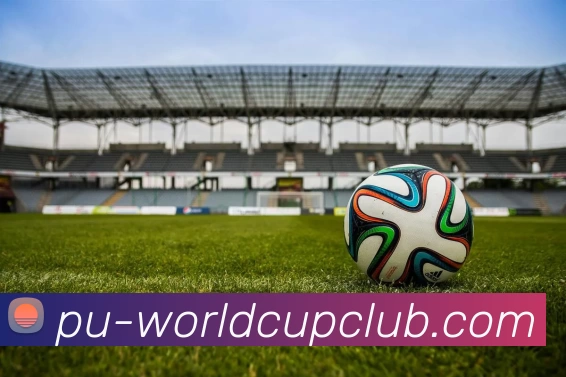 世界杯WorldCup平台服务体系